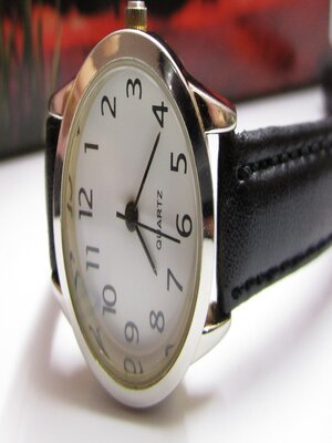 cover image of Time and Creativity
